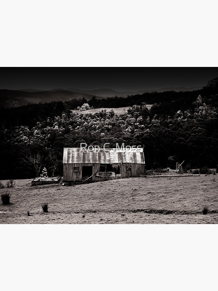 Old Huon Hut by ronmoss