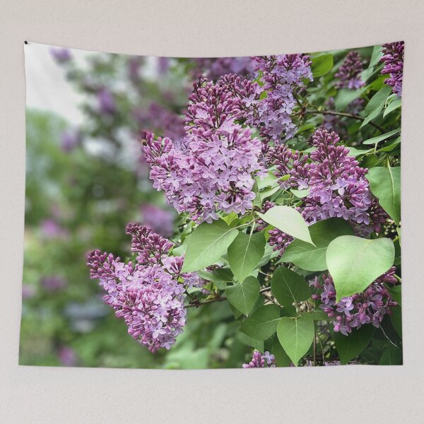 Item preview, Lilacs  designed and sold by kahlowa.