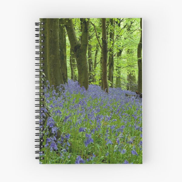 Artikelvorschau, Bluebell Holz entworfen und verkauft von Jenny Hibbert.