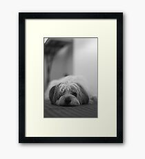Boris Framed Print