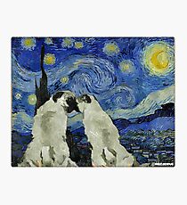 Lámina fotográfica Pugs de la noche estrellada
