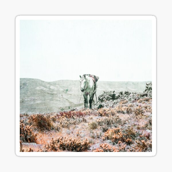 "Grunge Horse Photo Design" Sticker by kbracey-meraki | Redbubble