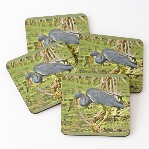 Item preview, Tricolor Heron designed and sold by Savannah Gibbs.