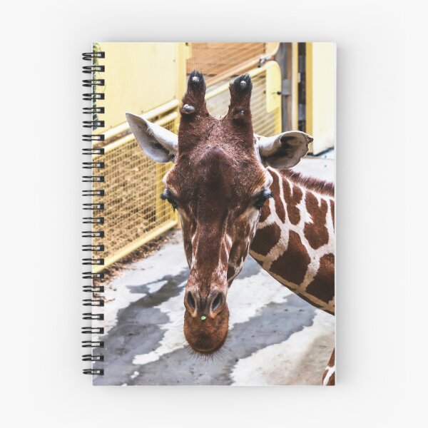 Item preview, Closeup portrait of giraffe designed and sold by lena-maximova.