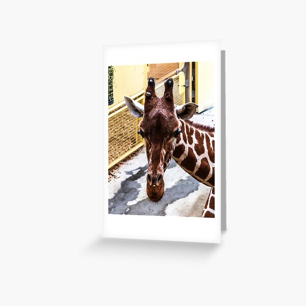 Item preview, Closeup portrait of giraffe designed and sold by lena-maximova.