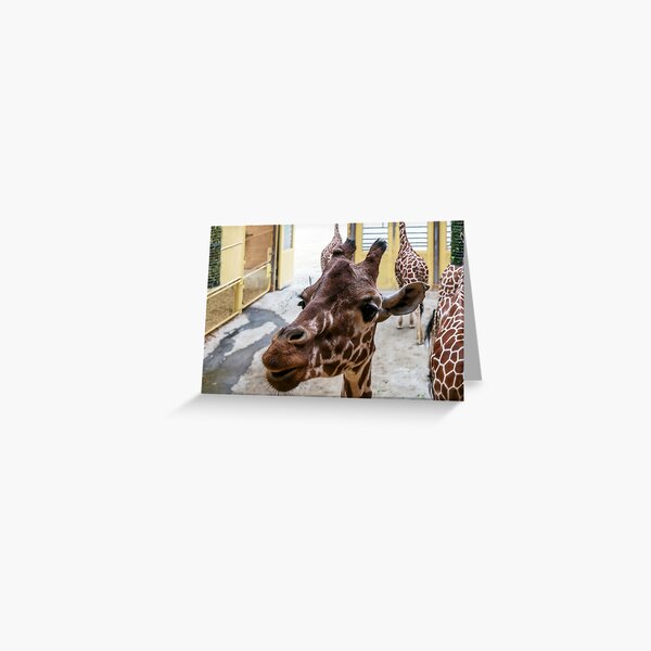 Item preview, Closeup portrait of giraffe designed and sold by lena-maximova.