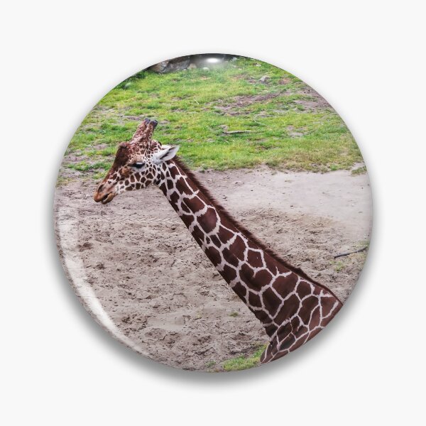 Item preview, Giraffe sitting on lawn designed and sold by lena-maximova.