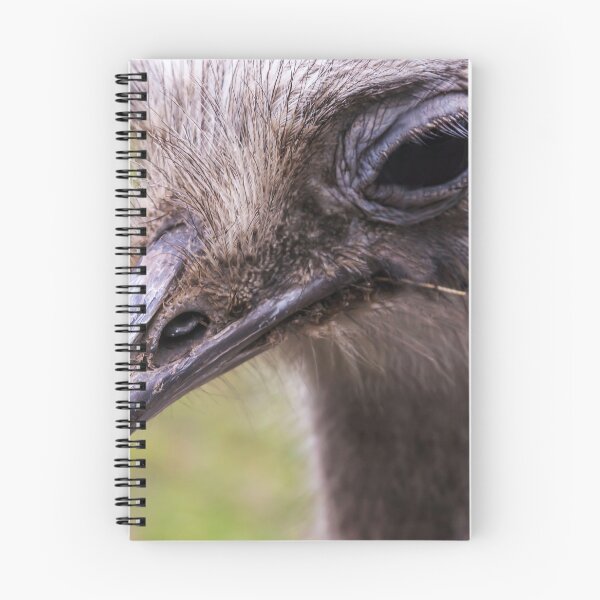 Item preview, Portrait of common ostrich designed and sold by lena-maximova.