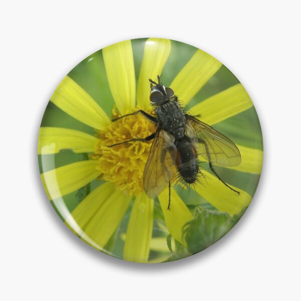 Item preview, Funky Fly on Yellow Flower Photograph designed and sold by naturegallery.