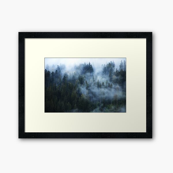 Foggy Forest......... Framed Art Print