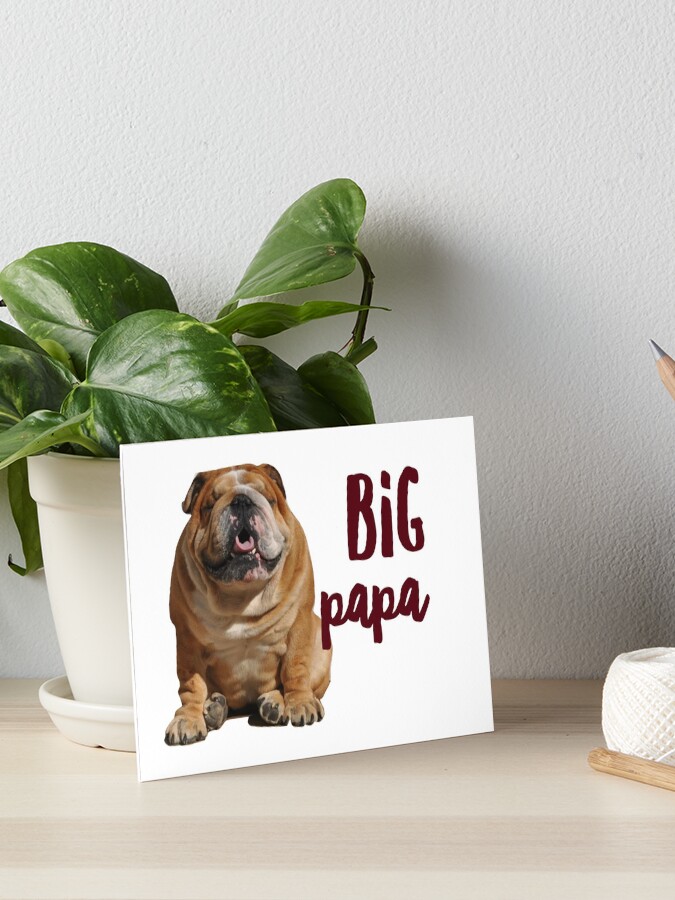 Dear Dad I Can Explain English Bulldog Dad Bully Sticker by Maximus Designs  - Pixels Merch