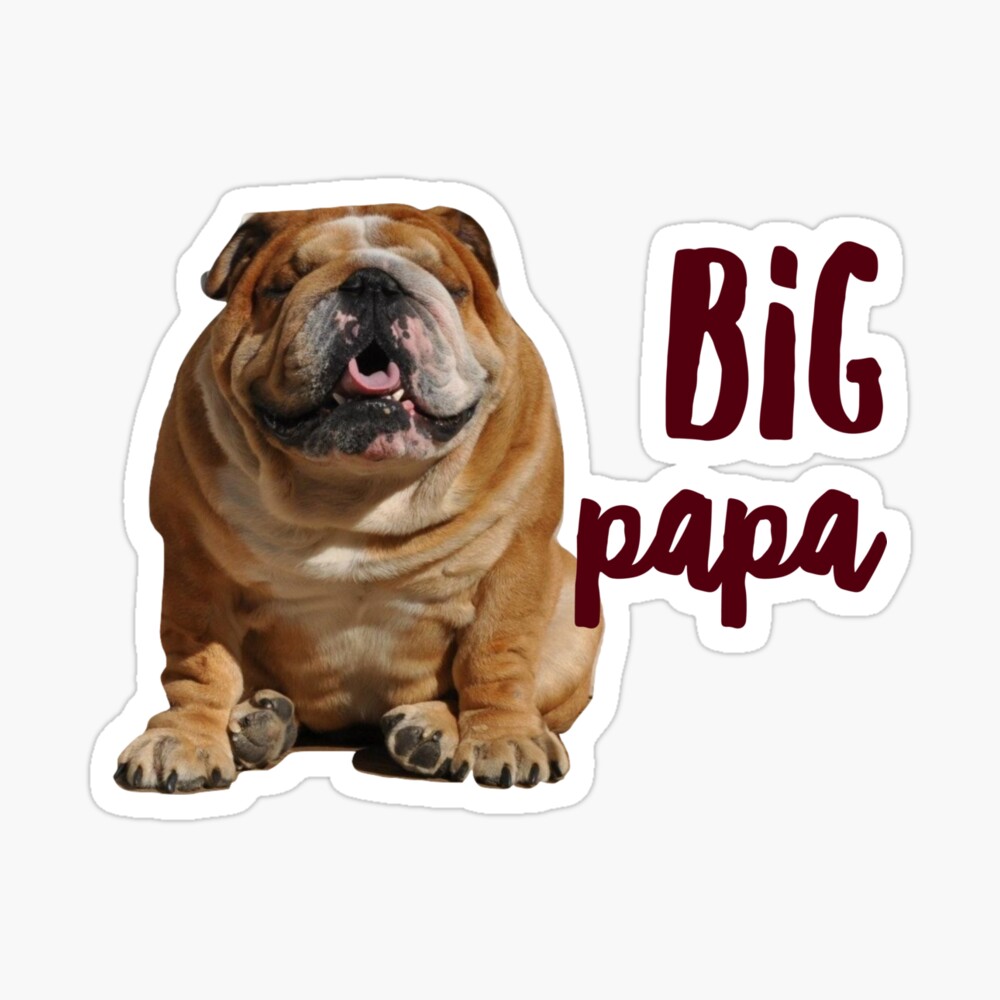 Dear Dad I Can Explain English Bulldog Dad Bully Sticker by Maximus Designs  - Pixels Merch