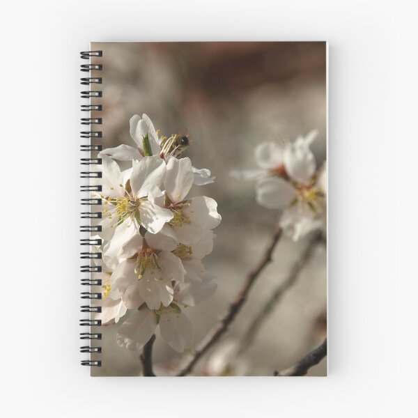 Item preview, Almond Blossoms designed and sold by Rosadraws.