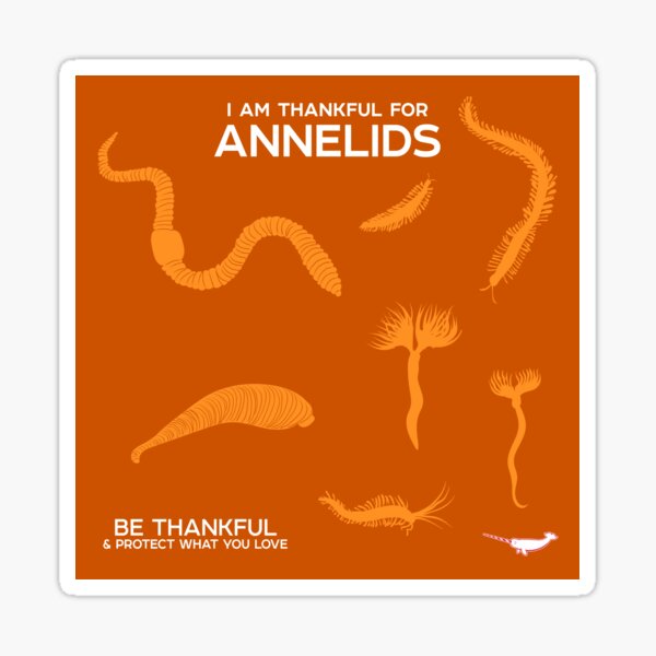I Am Thankful For Annelids Sticker