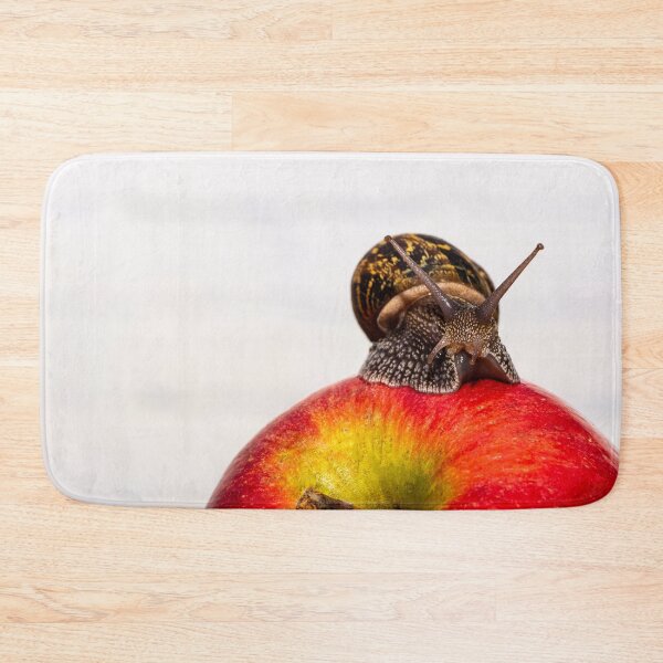 Aperçu de l'œuvre  Escargot européen appelé Cornu Aspersum créée et vendue par brambillasimone.