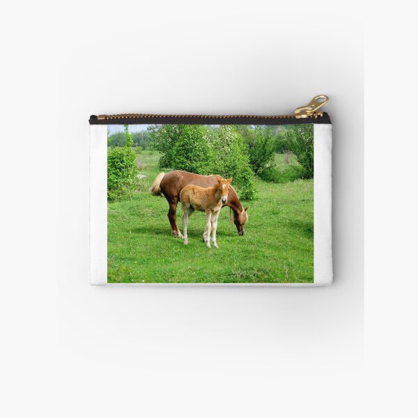Item preview, Butterscotch foal stands in a paddock with its mother. foal stands in a paddock designed and sold by celinebisson.