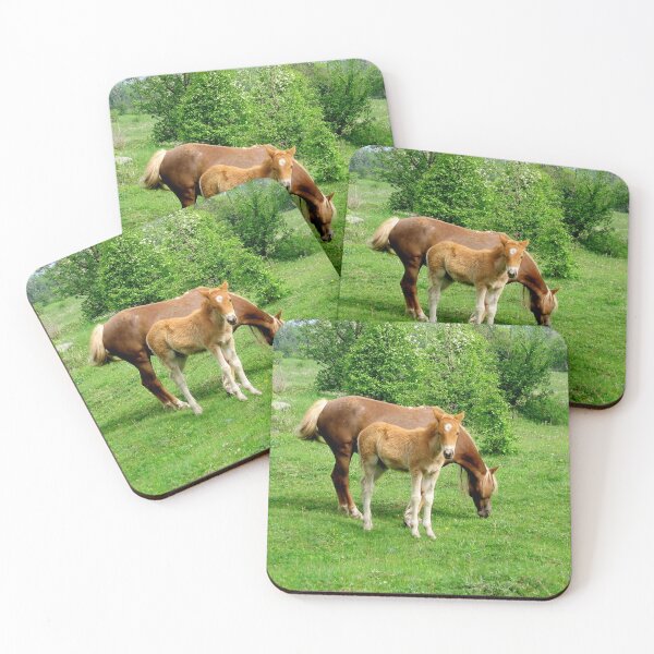 Item preview, El potro de caramelo se encuentra en un prado con su madre. potro se encuentra en un prado designed and sold by celinebisson.
