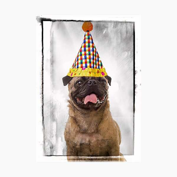 Party Animal Photographic Print