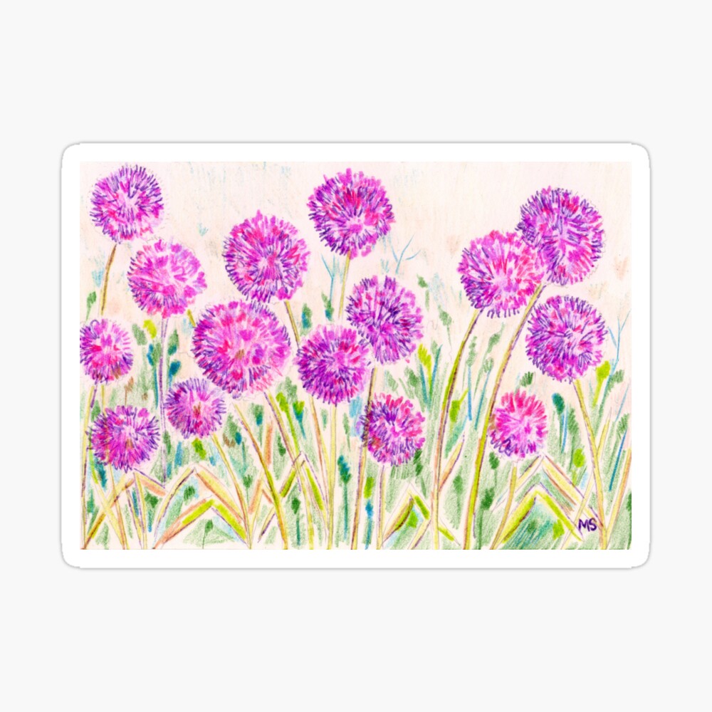 Flower Garden Drawing Images  Free Download on Freepik