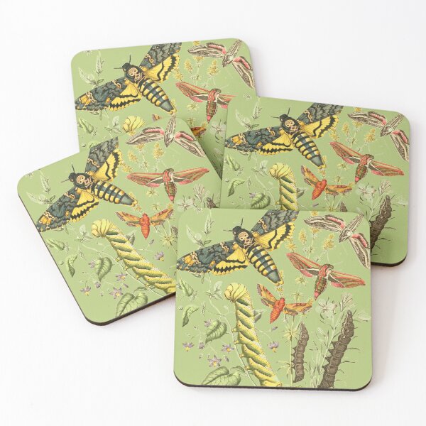 Item preview, Hawk Moth Caterpillar Vintage Scientific Entomology Butterfly Natural History designed and sold by MoPaws.