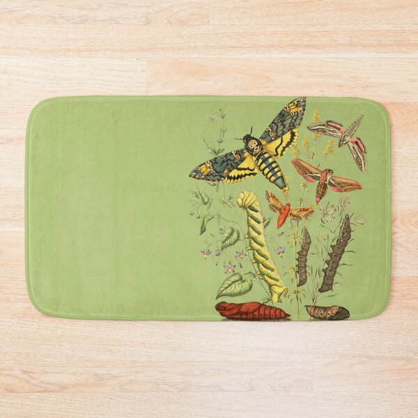 Item preview, Hawk Moth Caterpillar Vintage Scientific Entomology Butterfly Natural History designed and sold by MoPaws.
