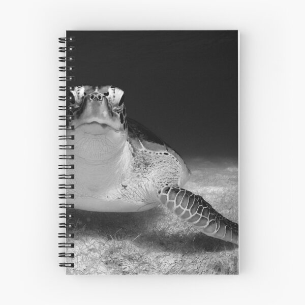 Item preview, Sea turtle black and white photo. designed and sold by 4empowear.