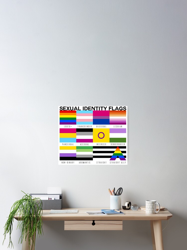 Sexual Identity Pride Flags Lgbtq Pride Month Poster For Sale By