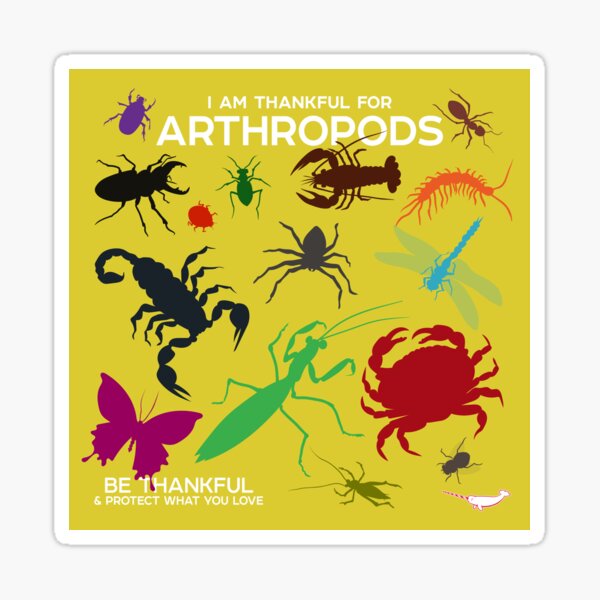 Item preview, I Am Thankful For Arthropods designed and sold by Peppermint Narwhal.