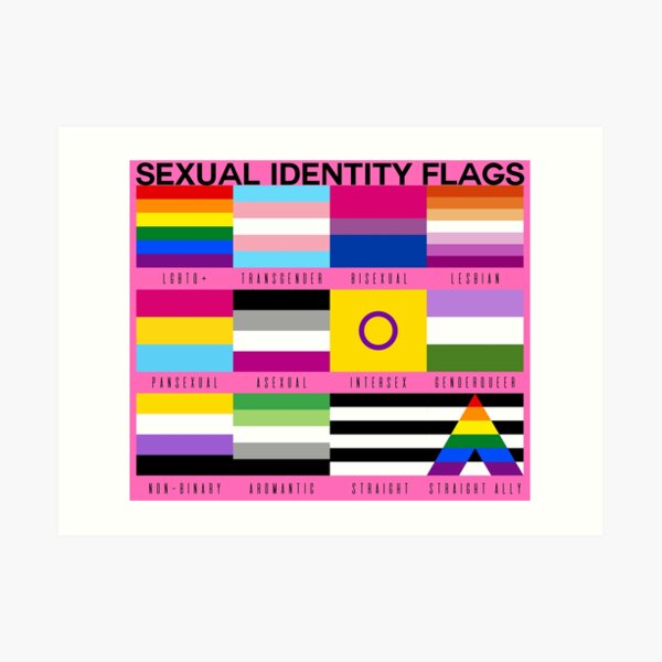 Sexual Identity Pride Flags Lgbtq Pride Month Pink Art Print By Priscimissy Redbubble 