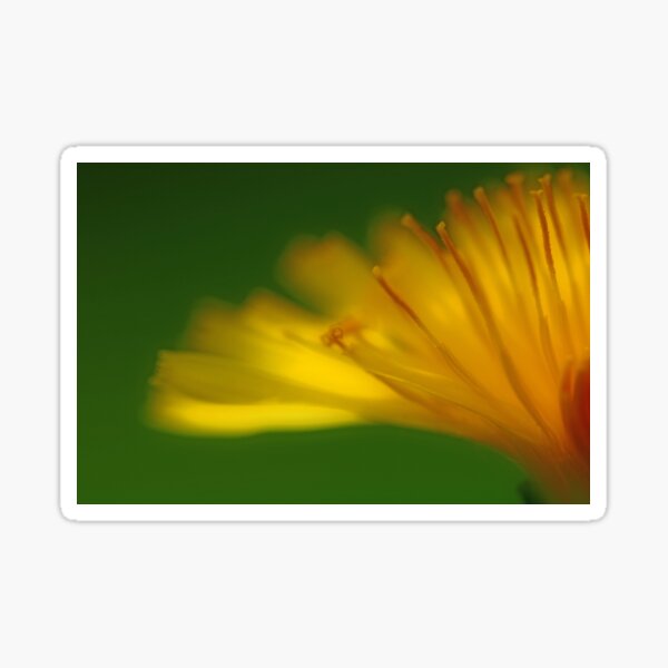 Golden Glow Sticker