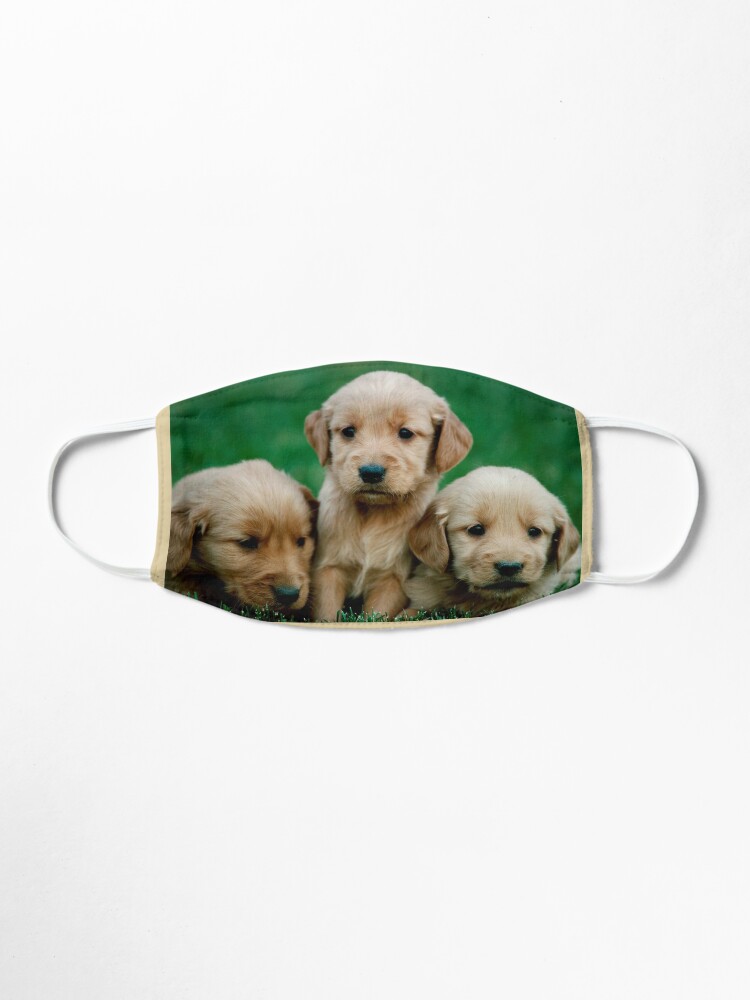 Labrador Welpe Maske Von Melisha123 Redbubble