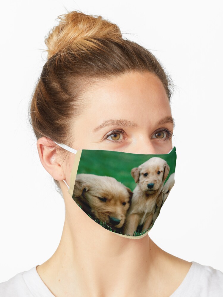 Labrador Welpe Maske Von Melisha123 Redbubble