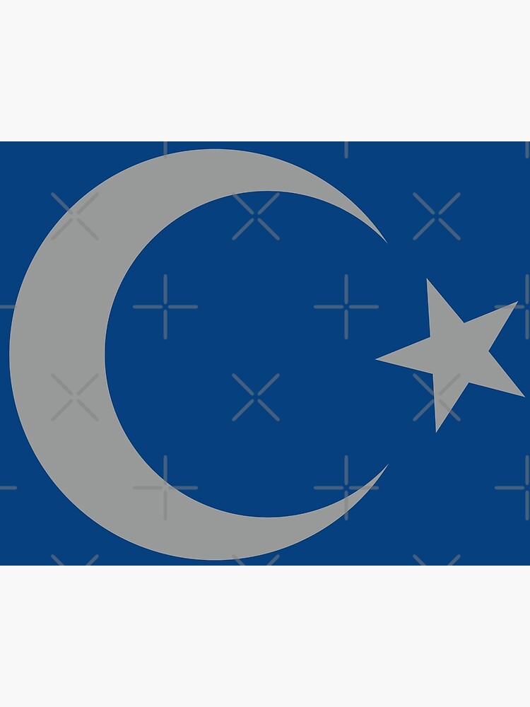 blue moon star flag