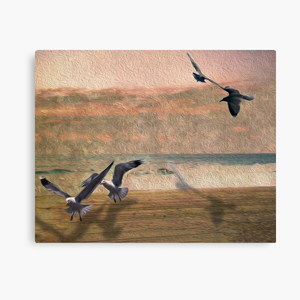 Seabirds At Setting Sun Canvas Print