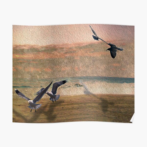Seabirds At Setting Sun Poster