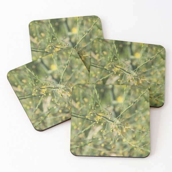Item preview, Spontaneous asparagus vegetable in bloom	 designed and sold by EstelleRossetti.