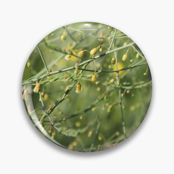 Item preview, Spontaneous asparagus vegetable in bloom	 designed and sold by EstelleRossetti.
