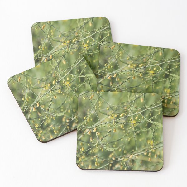 Item preview, Spontaneous asparagus vegetable in bloom	 designed and sold by EstelleRossetti.