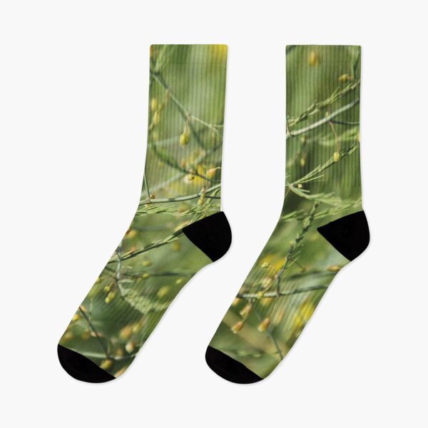 Item preview, Spontaneous asparagus vegetable in bloom designed and sold by EstelleRossetti.