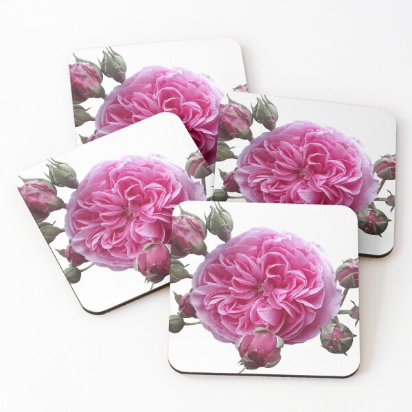 Item preview, Pink Rose - Old Style Rose designed and sold by AgaSilva.