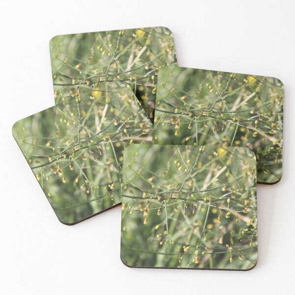 Item preview, Spontaneous asparagus vegetable in bloom	 designed and sold by EstelleRossetti.