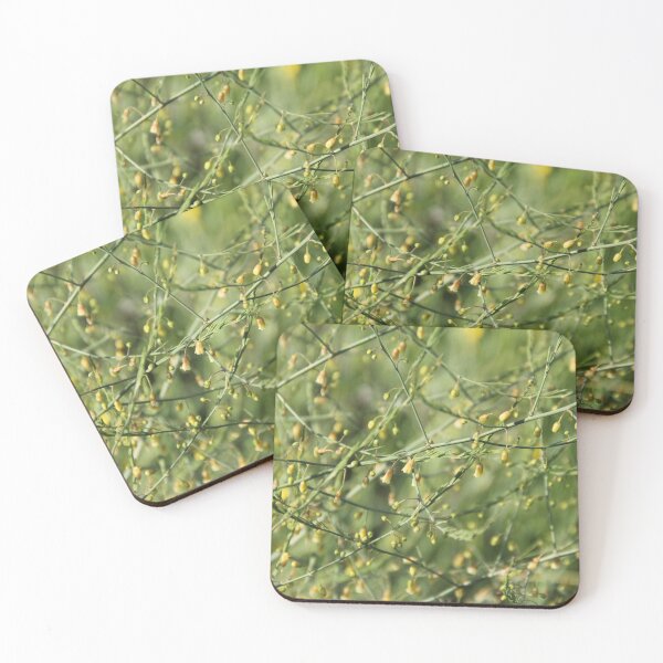 Item preview, Spontaneous asparagus vegetable in bloom	 designed and sold by EstelleRossetti.