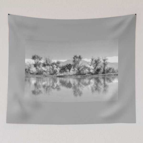 Item preview, San Jacinto Wildlife Area designed and sold by CarolM.