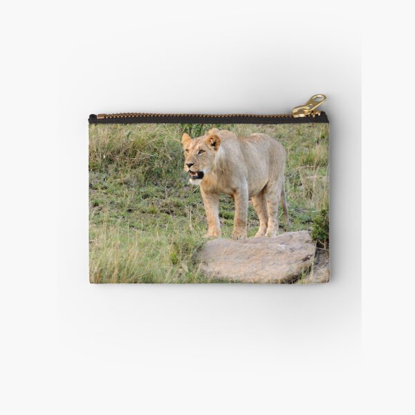 Item preview, Young Lion On A Rock, Kenya. designed and sold by Tom Wurl.