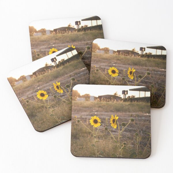 Item preview, Sunset Flowers designed and sold by Jacquelie.