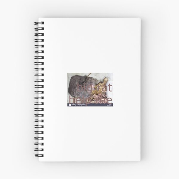 Item preview, Big rat help me designed and sold by Jerppa3.