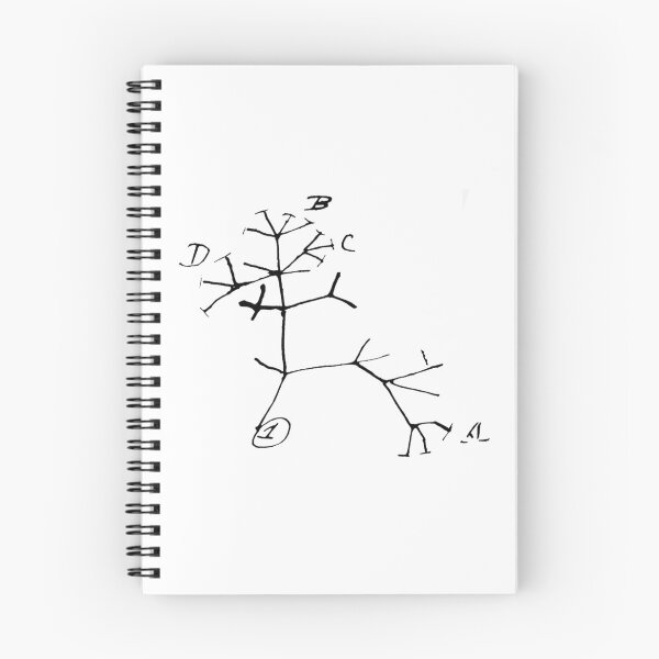 Item preview, Darwin Phylogenic Tree designed and sold by jessxh.