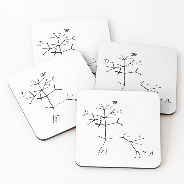 Item preview, Darwin Phylogenic Tree designed and sold by jessxh.