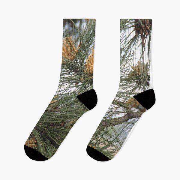 Item preview, Austrian pine male branch blossom	 designed and sold by EstelleRossetti.