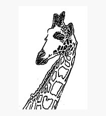Giraffe Photographic Print